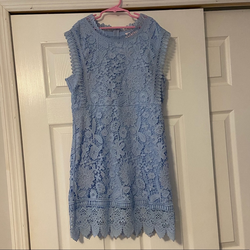 Pink Lily Boutique lace dress